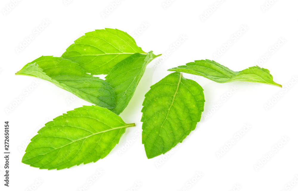 Fresh mint leafs isolated on a white background Fresh mint leafs isolated on a white background