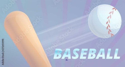 Baseball bat and ball concept banner. Cartoon illustration of baseball bat and ball vector concept banner for web design