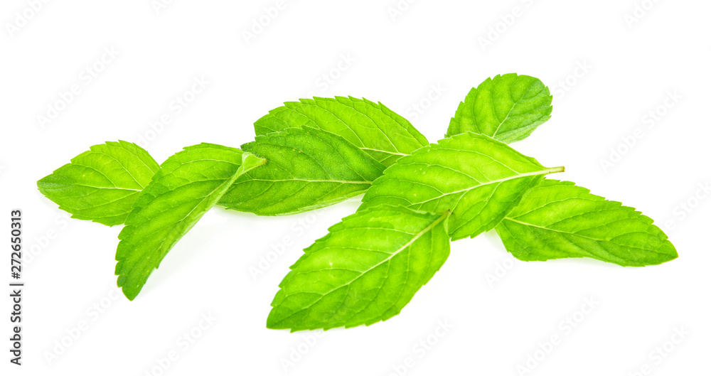 Fresh mint leafs isolated on a white background Fresh mint leafs isolated on a white background