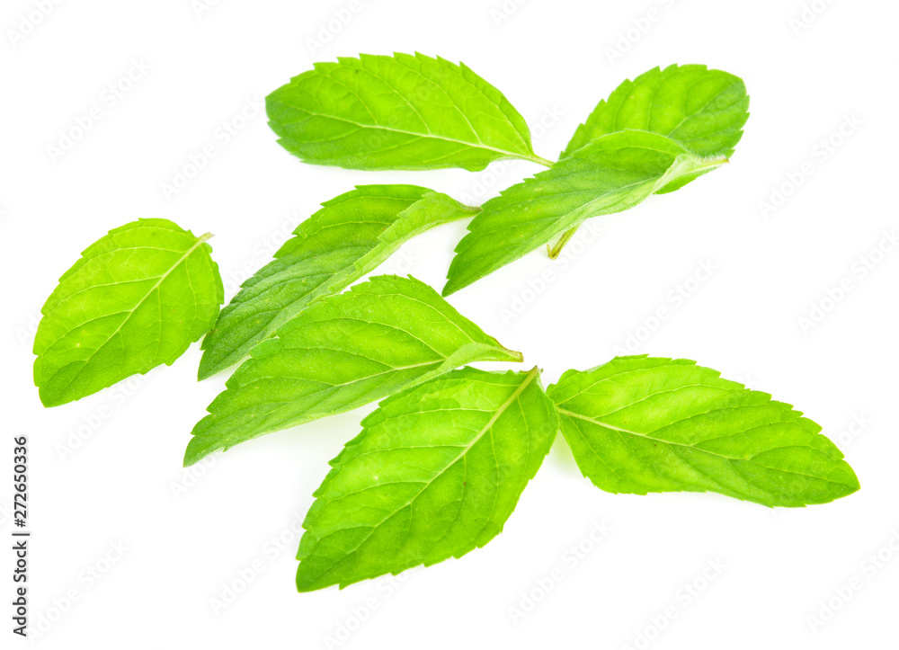 Fresh mint leafs isolated on a white background