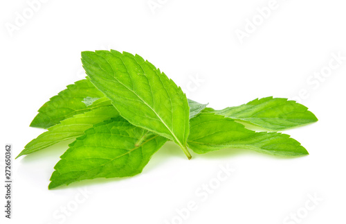 Fresh mint leafs isolated on a white background