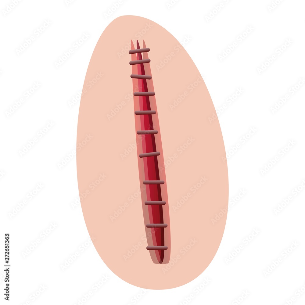 Body suture icon. Cartoon of body suture vector icon for web design isolated on white background Body suture icon. Cartoon of body suture vector icon for web design isolated on white background