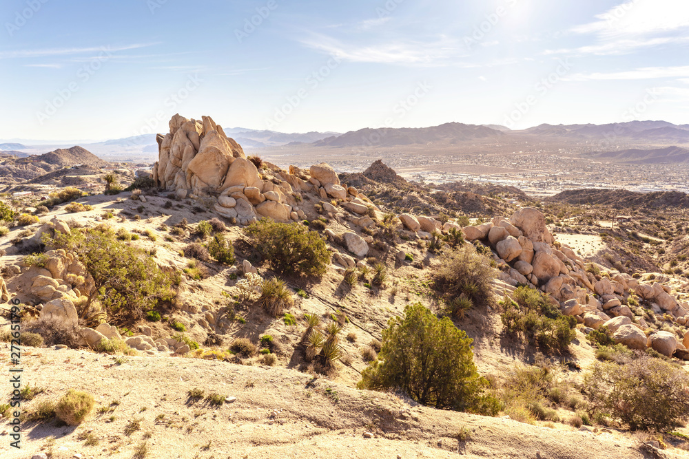 Yucca Valley landscape in the morning. California, USA.