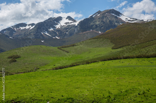 Picos de Europa national park