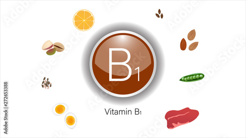 Vitamin B1 sources vector illustration