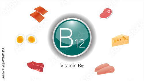 Vitamin B12 sources vector illustration