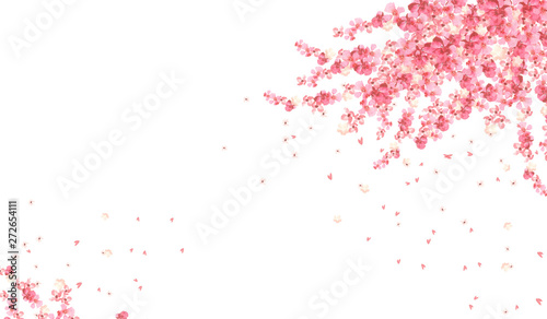 horizontal banner with pink flowers
