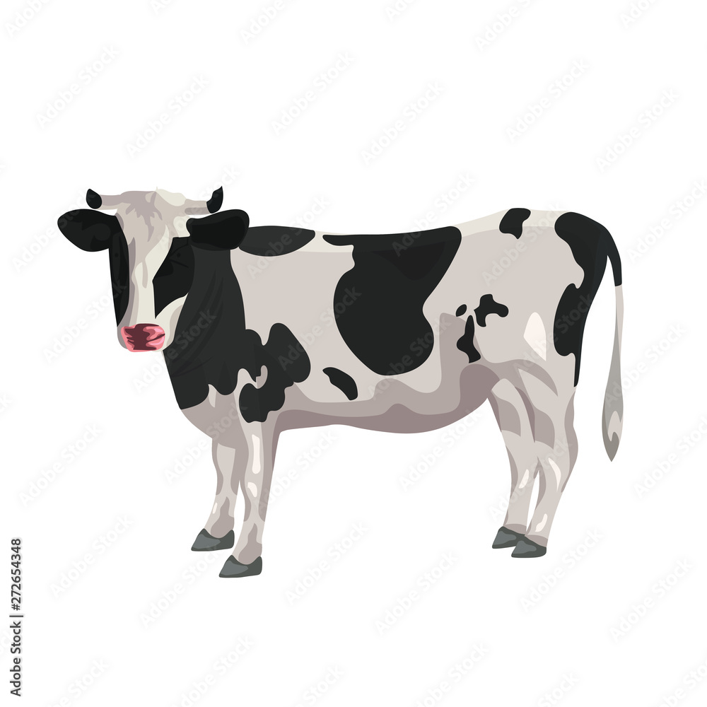 Cow on a white background. Vector graphics