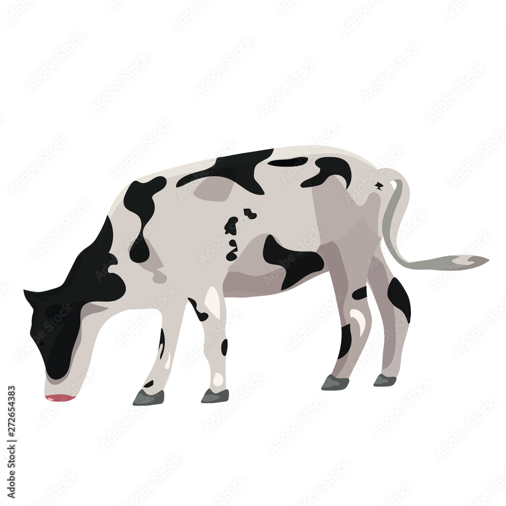 Obraz premium Cow on a white background. Vector graphics