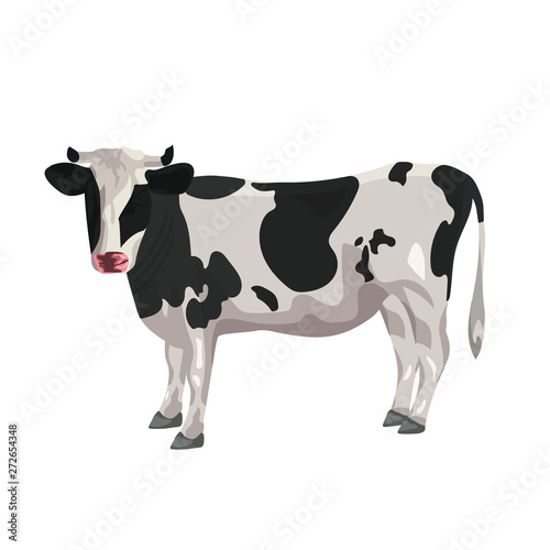 Cow on a white background. Vector graphics