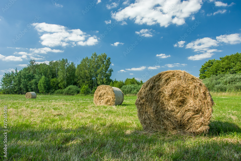 Hay bales lying in the shade on a meadow, trees and white clouds on a blue sky Hay bales lying in the shade on a meadow, trees and white clouds on a blue sky