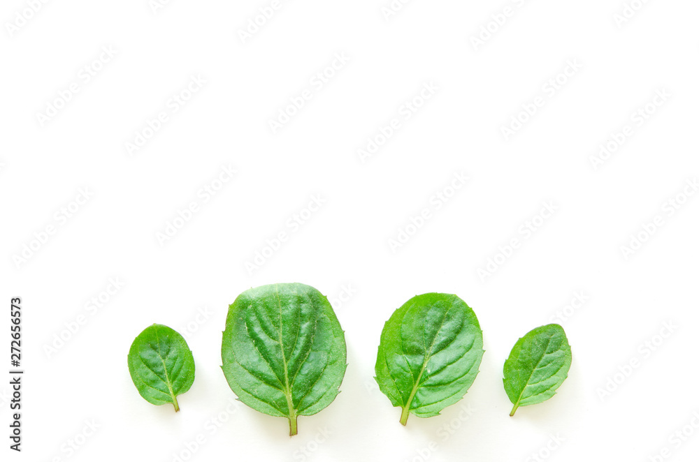 Top view of mint herbs on white background. Minimal raw herb concept design. - Image Top view of mint herbs on white background. Minimal raw herb concept design. - Image