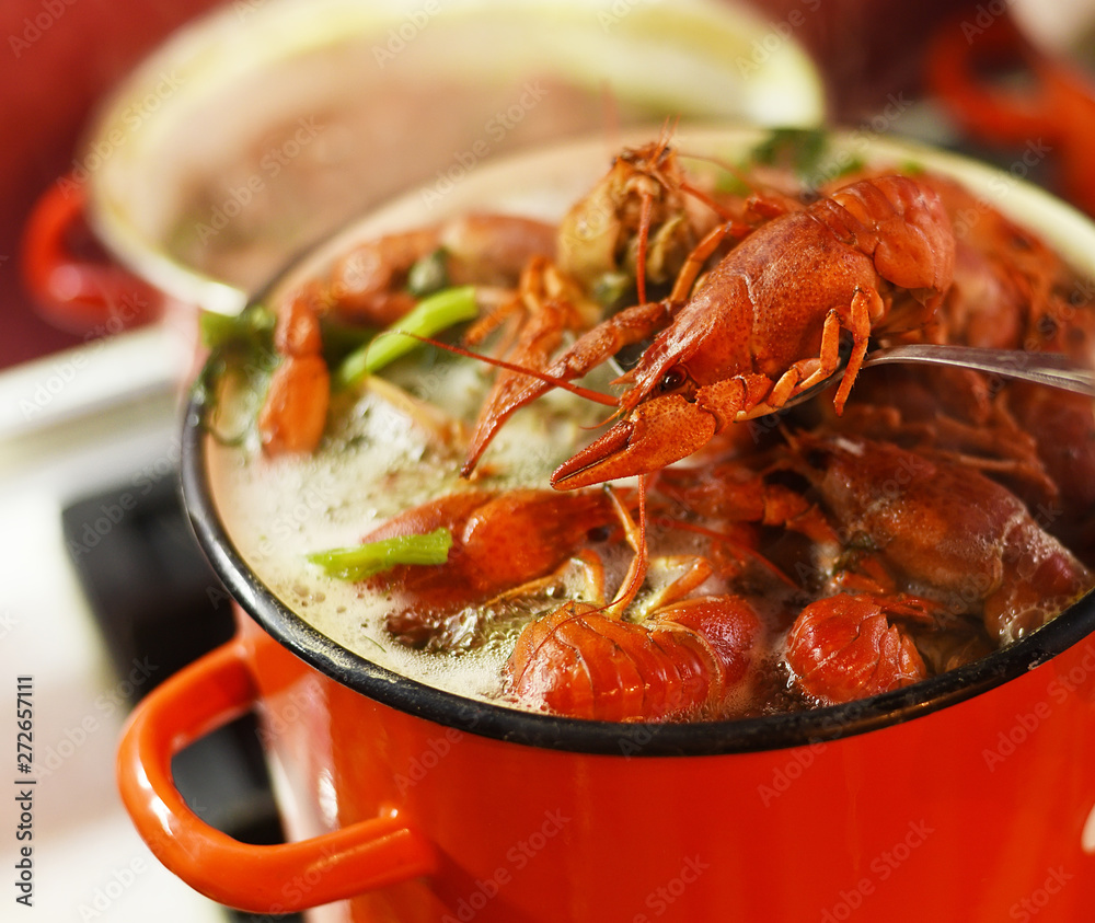 Crayfish are cooked in a large red saucepan. Cooking crayfish. Crayfish are cooked in a large red saucepan. Cooking crayfish.
