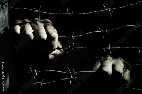 Fototapeta Dirty male hands hold stretched rusty barbed wire in the dark
