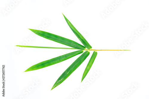 Green bamboo leaf isolated © souayang