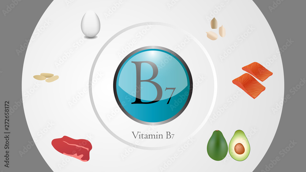 Vitamin B7 sources vector illustration Vitamin B7 sources vector illustration