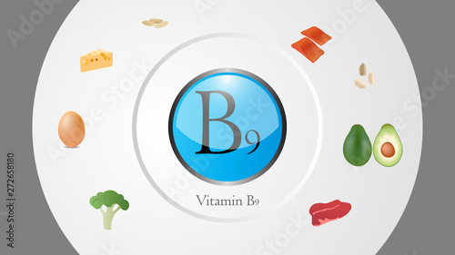 Vitamin B9 sources vector illustration