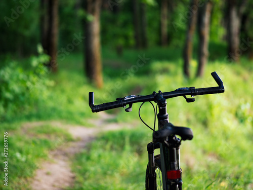 Close-up of the wheel of a mountain bike on a country road in the summer forest