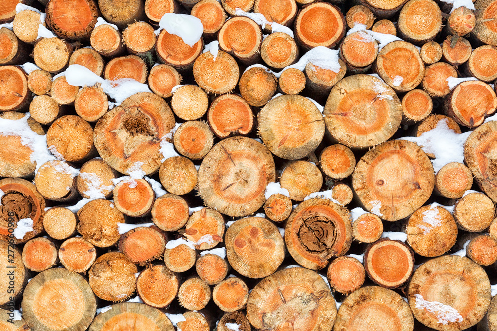 Firewood stacked in winter. Chopped stack of firewood under snow. Pile of Firewood. Preparation of firewood for the winter Firewood stacked in winter. Chopped stack of firewood under snow. Pile of Firewood. Preparation of firewood for the winter