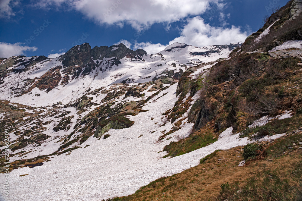 Panoramic view of the Scaredi Alp, in the Valgrande park in Piedmont Italy.