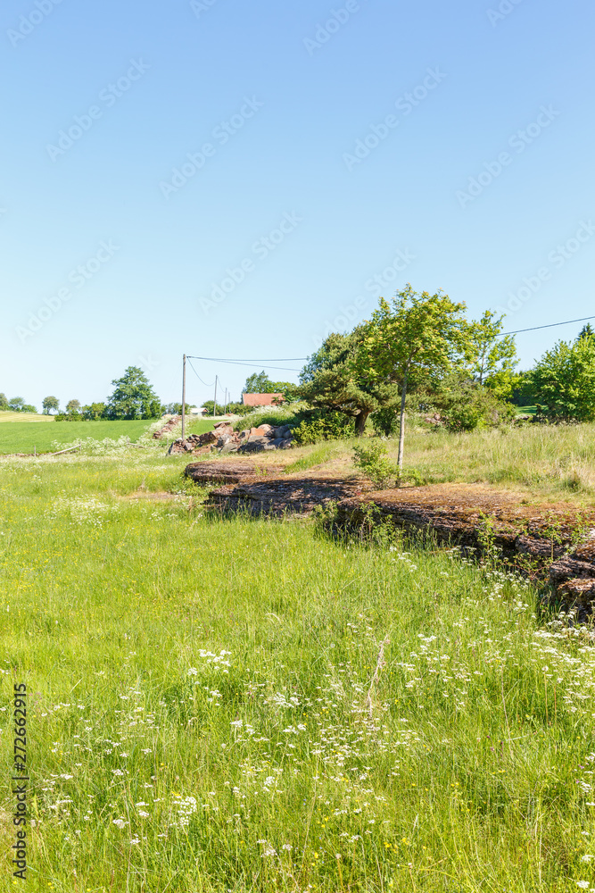 Limestone cliff at a flowering summer meadow Limestone cliff at a flowering summer meadow