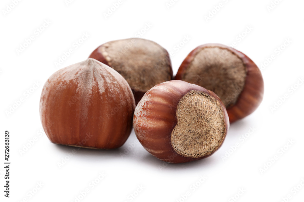 Fototapeta premium Hazelnuts isolated on white background