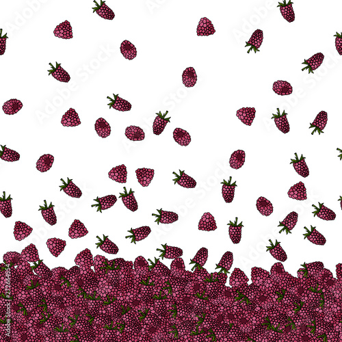 seamless border with hand drawn raspberries vector illustration
