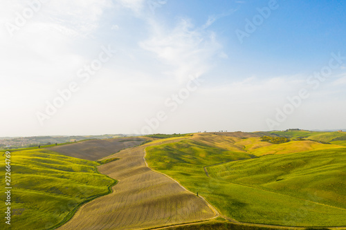 Val d'Orcia in Toscana, vista delle infinite valli verdi e d'orate di grano tra i colli senesi.