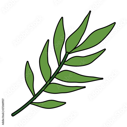 branch with leafs plants icon