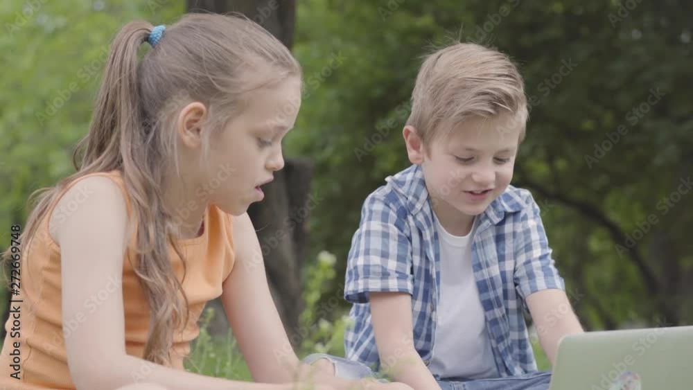 Portrait of a handsome boy and pretty girl with long hair looking into camera of a laptop in the park. Summertime leisure outdoors. Lovely kids talking on the internet with a friend. Portrait of a handsome boy and pretty girl with long hair looking into camera of a laptop in the park. Summertime leisure outdoors. Lovely kids talking on the internet with a friend.
