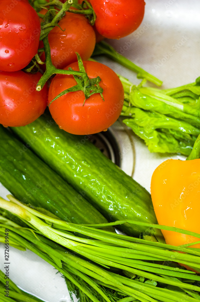 fresh whole vegetables - tomatoes, green onions, cucumbers, yellow bell pepper, parsley and lettuce, close up fresh whole vegetables - tomatoes, green onions, cucumbers, yellow bell pepper, parsley and lettuce, close up