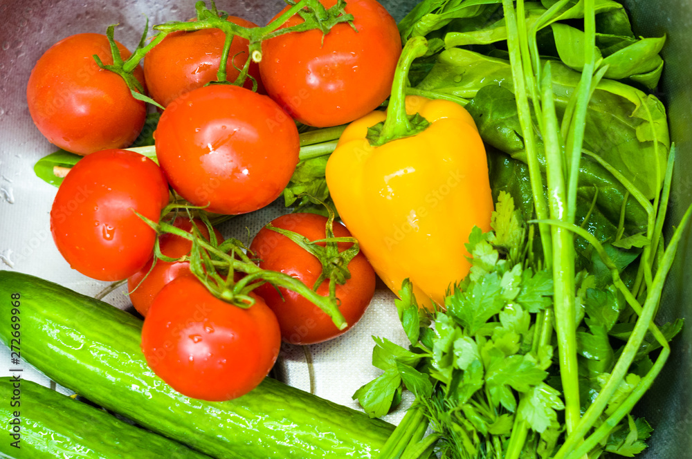 fresh whole vegetables - tomatoes, green onions, cucumbers, yellow bell pepper, parsley and lettuce, close up