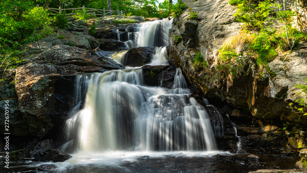 Naklejka premium waterfall in the forest