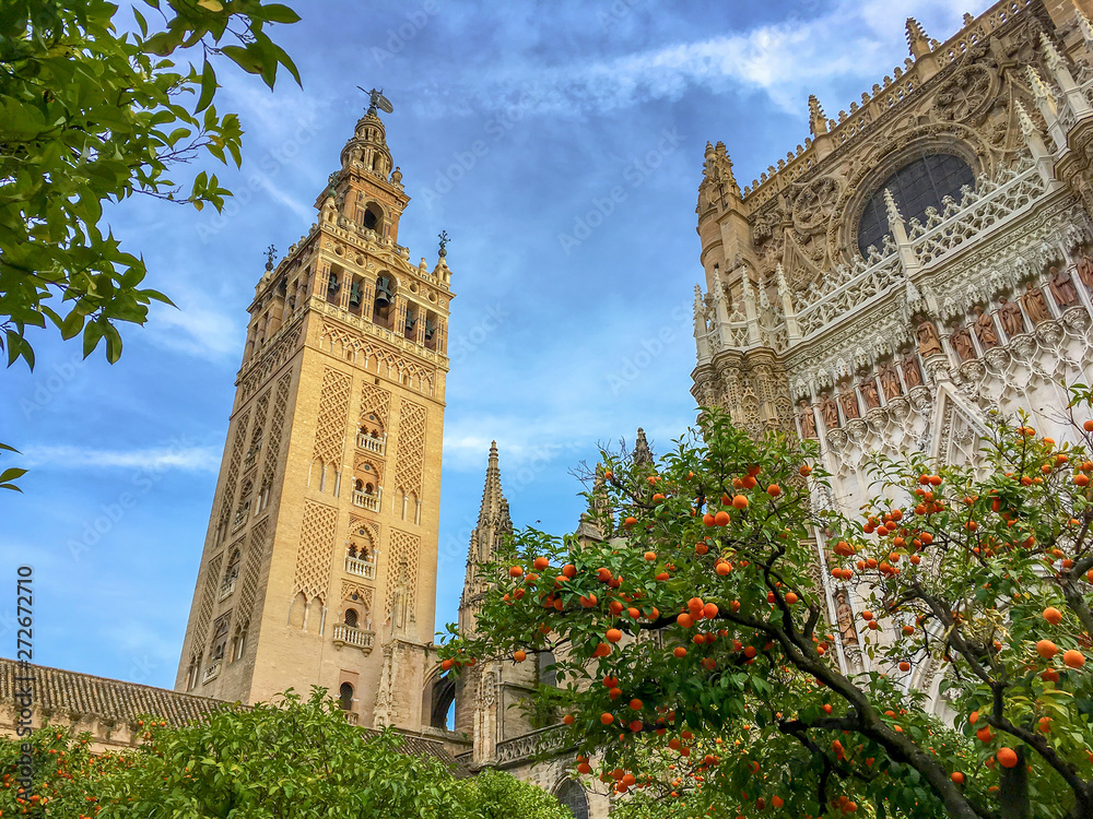 Fototapeta premium Katedra w Sewilli i Giralda, Andaluzja, Hiszpania