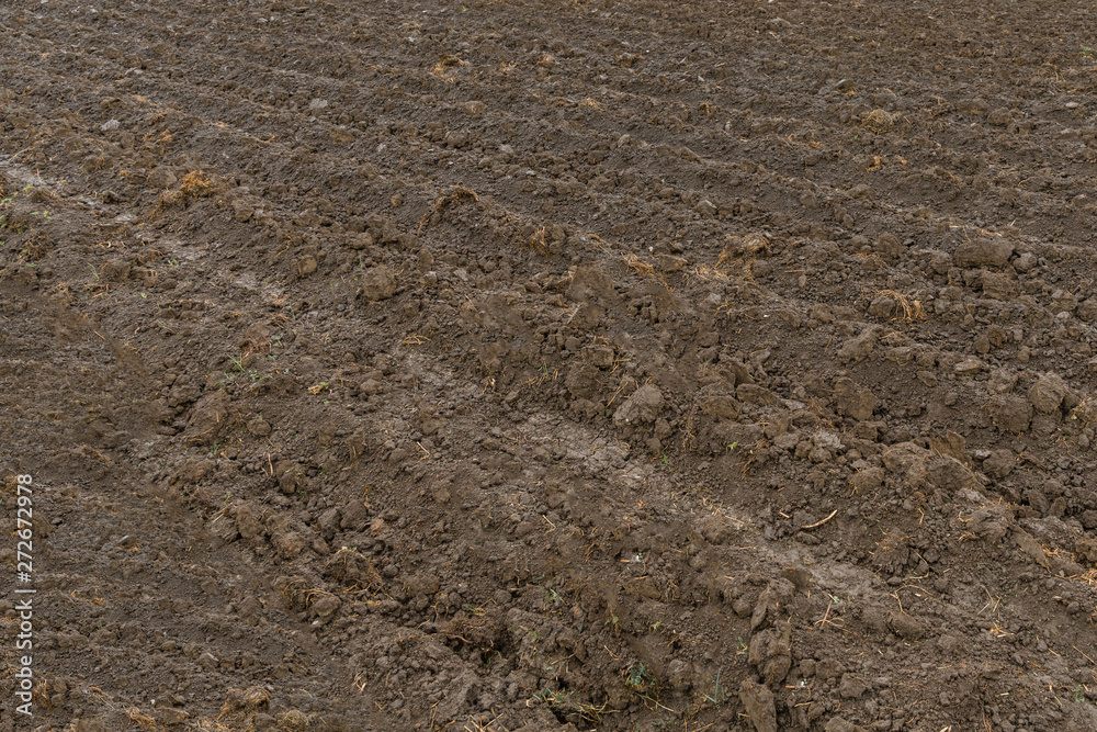 Just dug up a field ready for planting vegetables