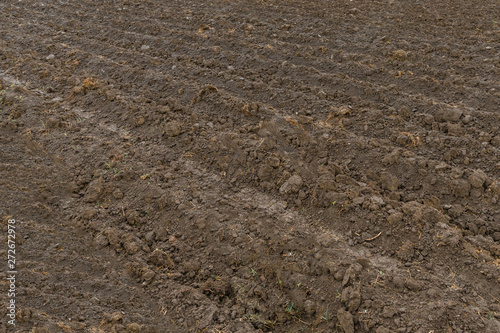 Just dug up a field ready for planting vegetables photo