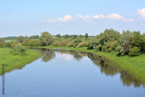 Calm river with green grass and willows on the banks and cloudy sky. Summer European landscape.River Veriaja Novgorod region