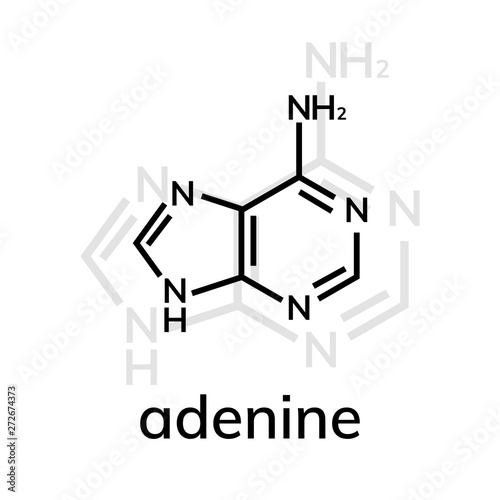 Adenine chemical formula on white background