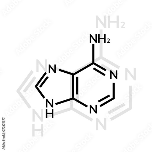 Adenine chemical formula on white background