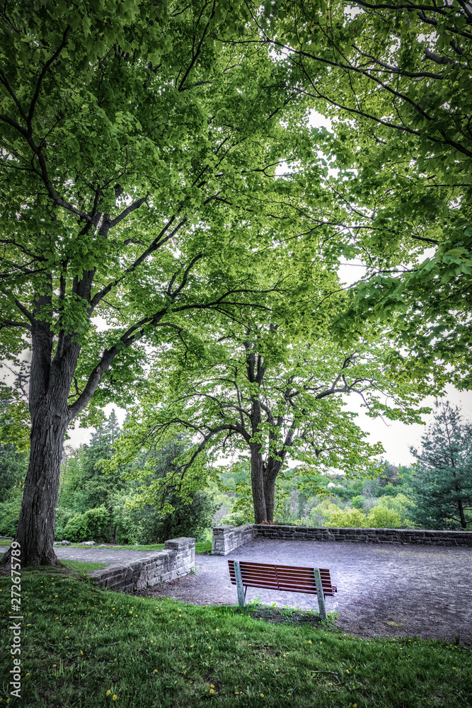 Peaceful bench in the forest.