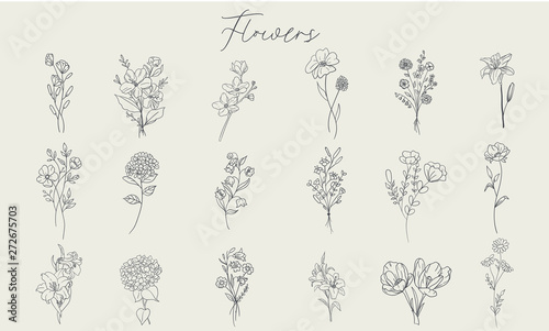 Canvastavla Set of handdrawn floral elements for design