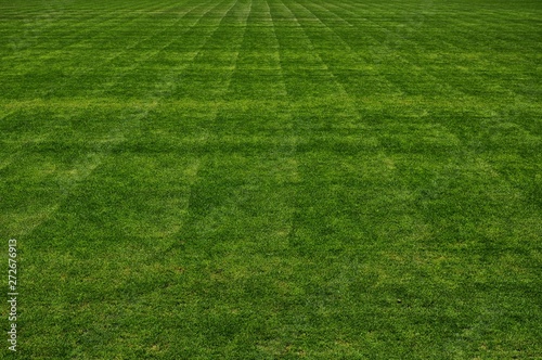 Football / soccer playground texture