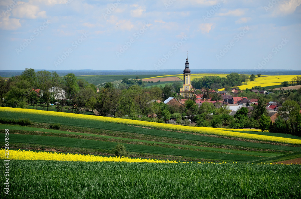 Letni krajobraz - Śląsk, Polska