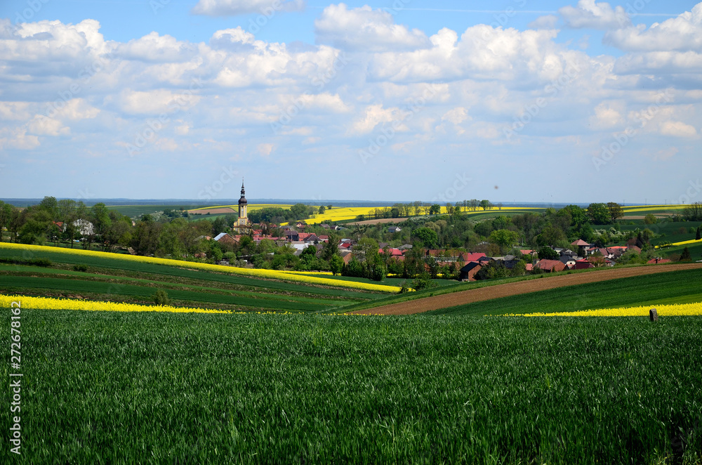 Letni krajobraz - Śląsk, Polska