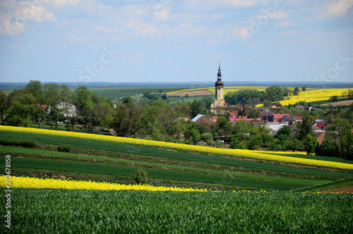 Letni krajobraz - Śląsk, Polska