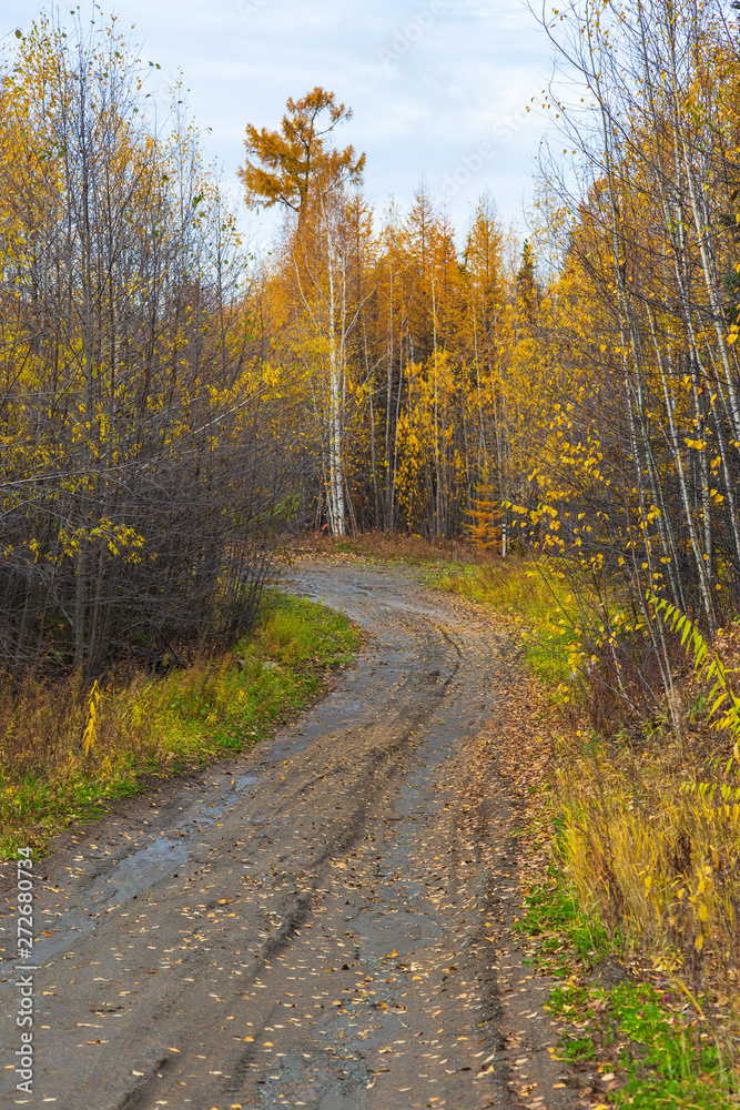 Unnamed, gravel road on Peninsula Kamchatka, Russia.