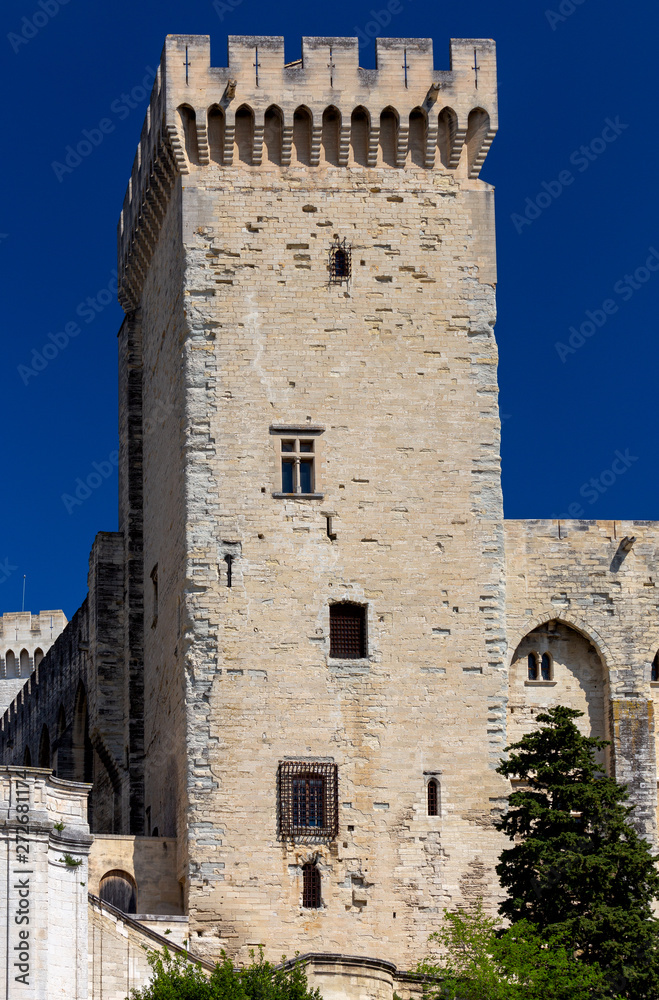Avignon. Old medieval stone tower of the popes palace.