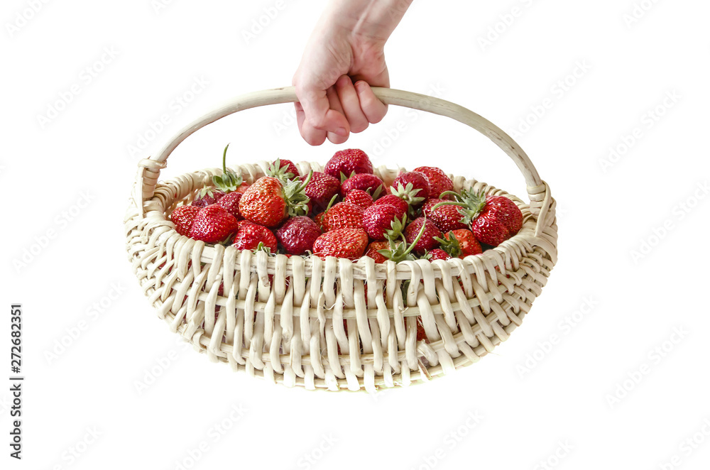 The child's hand holds a wicker basket with fresh red strawberries and leaves isolated on a white background. The child's hand holds a wicker basket with fresh red strawberries and leaves isolated on a white background.