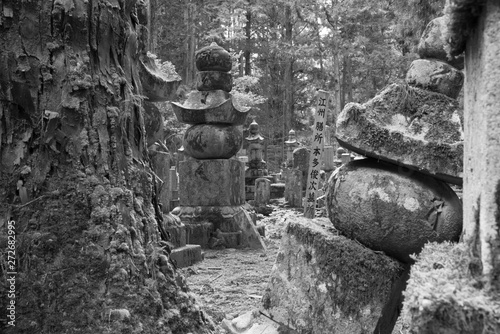 Nature et tombes à Koyasan