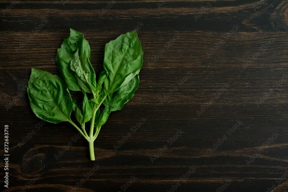 Sprig of Basil on a Dark Wood Background Sprig of Basil on a Dark Wood Background